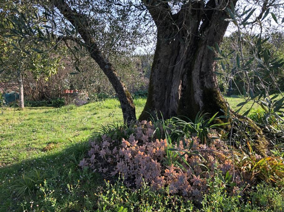 La Vigna Agriturismo Villa Siena Exterior photo