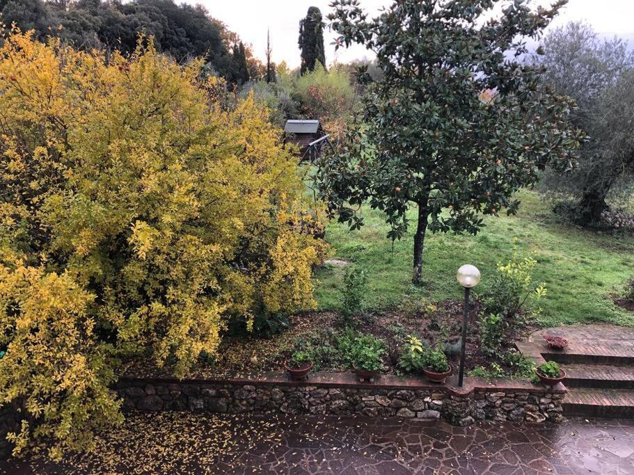 La Vigna Agriturismo Villa Siena Exterior photo