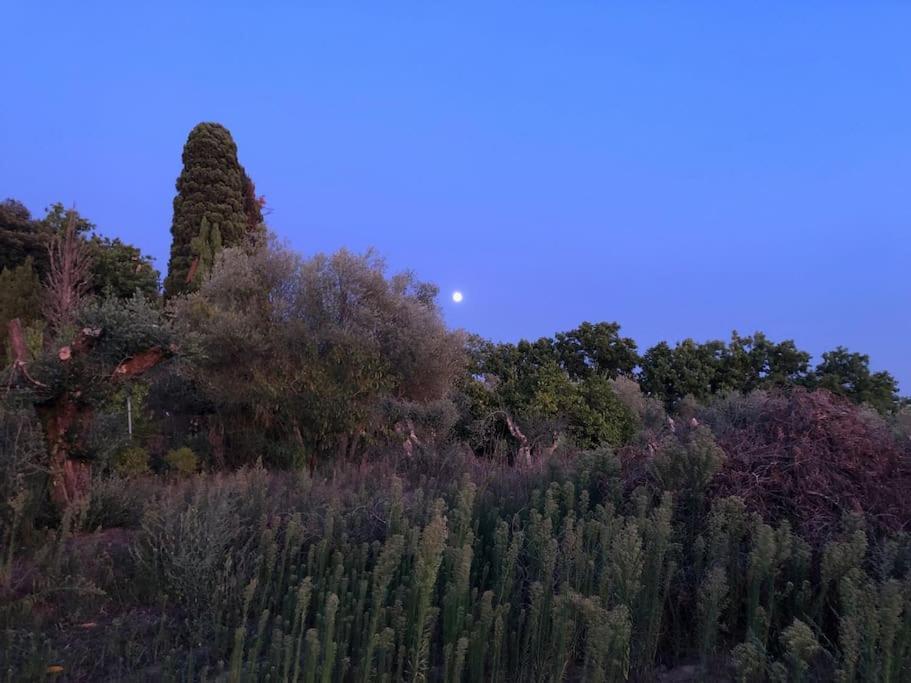 La Vigna Agriturismo Villa Siena Exterior photo